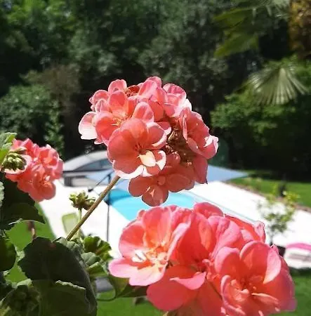 La Rive D O * Oloron-Sainte-Marie