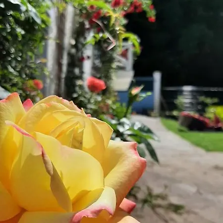 Bed & Breakfast La Rive D O
